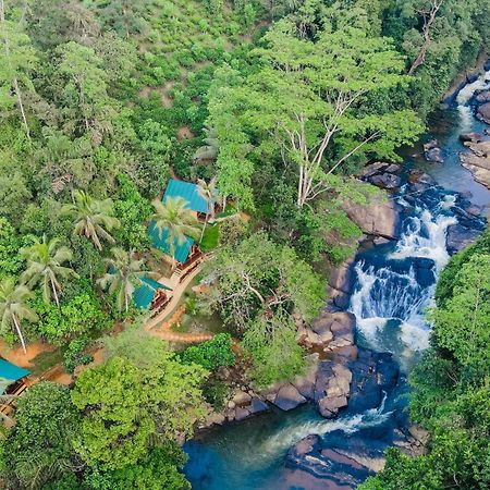 The Rainforest Hideaway Deniyaya Exterior foto