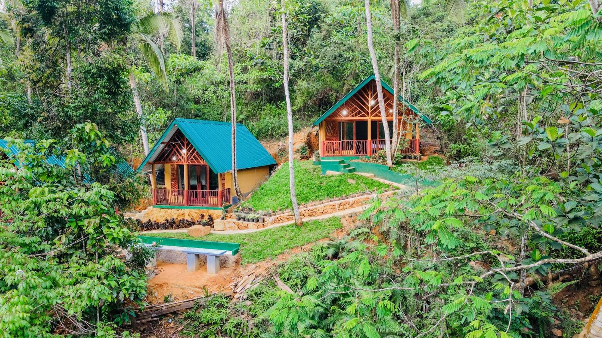 The Rainforest Hideaway Deniyaya Exterior foto