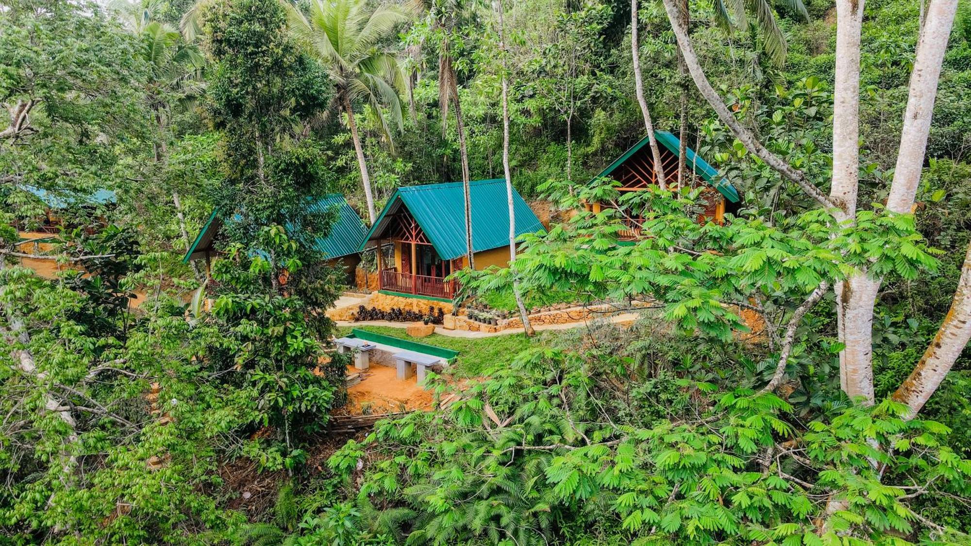 The Rainforest Hideaway Deniyaya Exterior foto