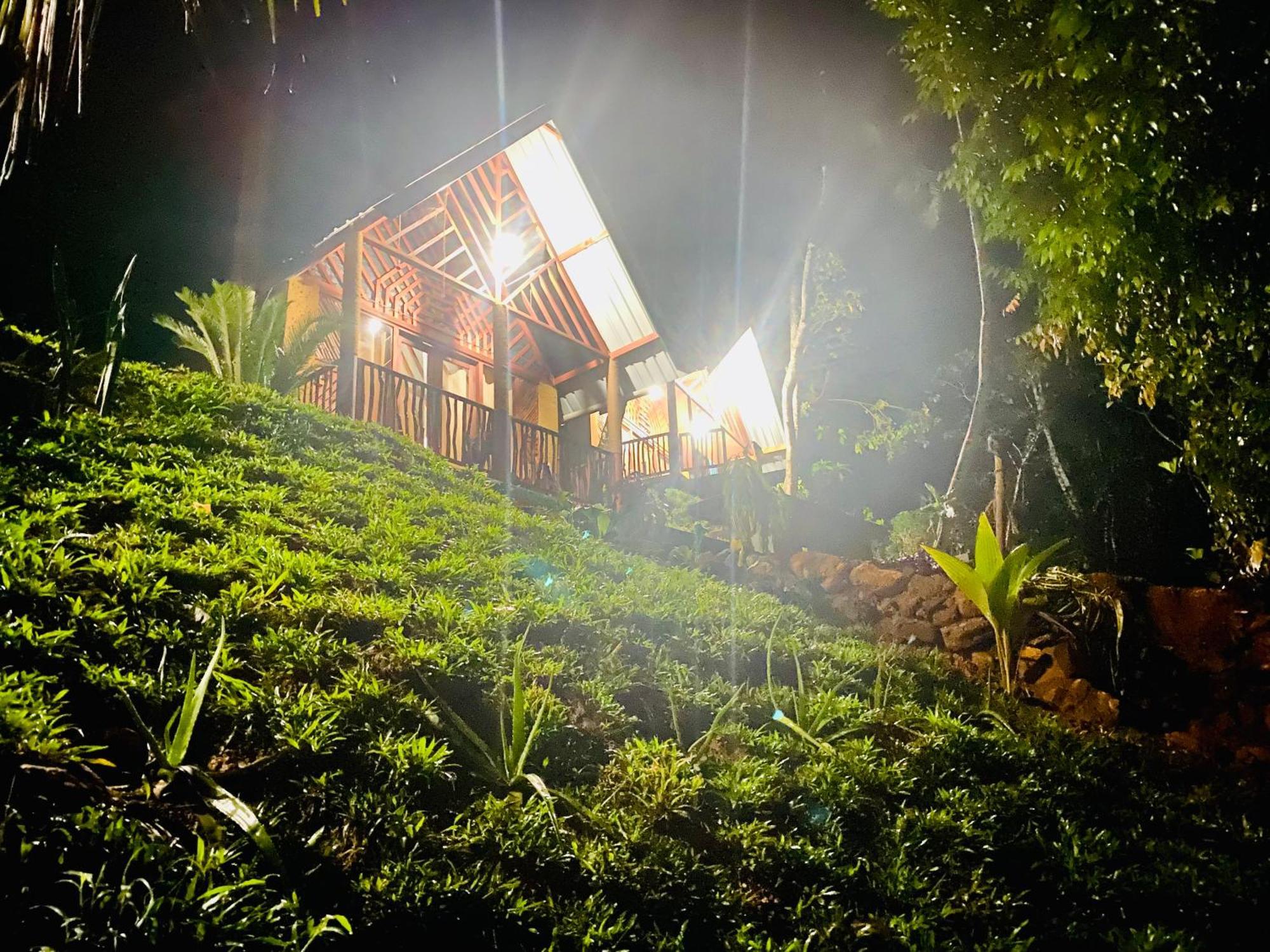 The Rainforest Hideaway Deniyaya Exterior foto