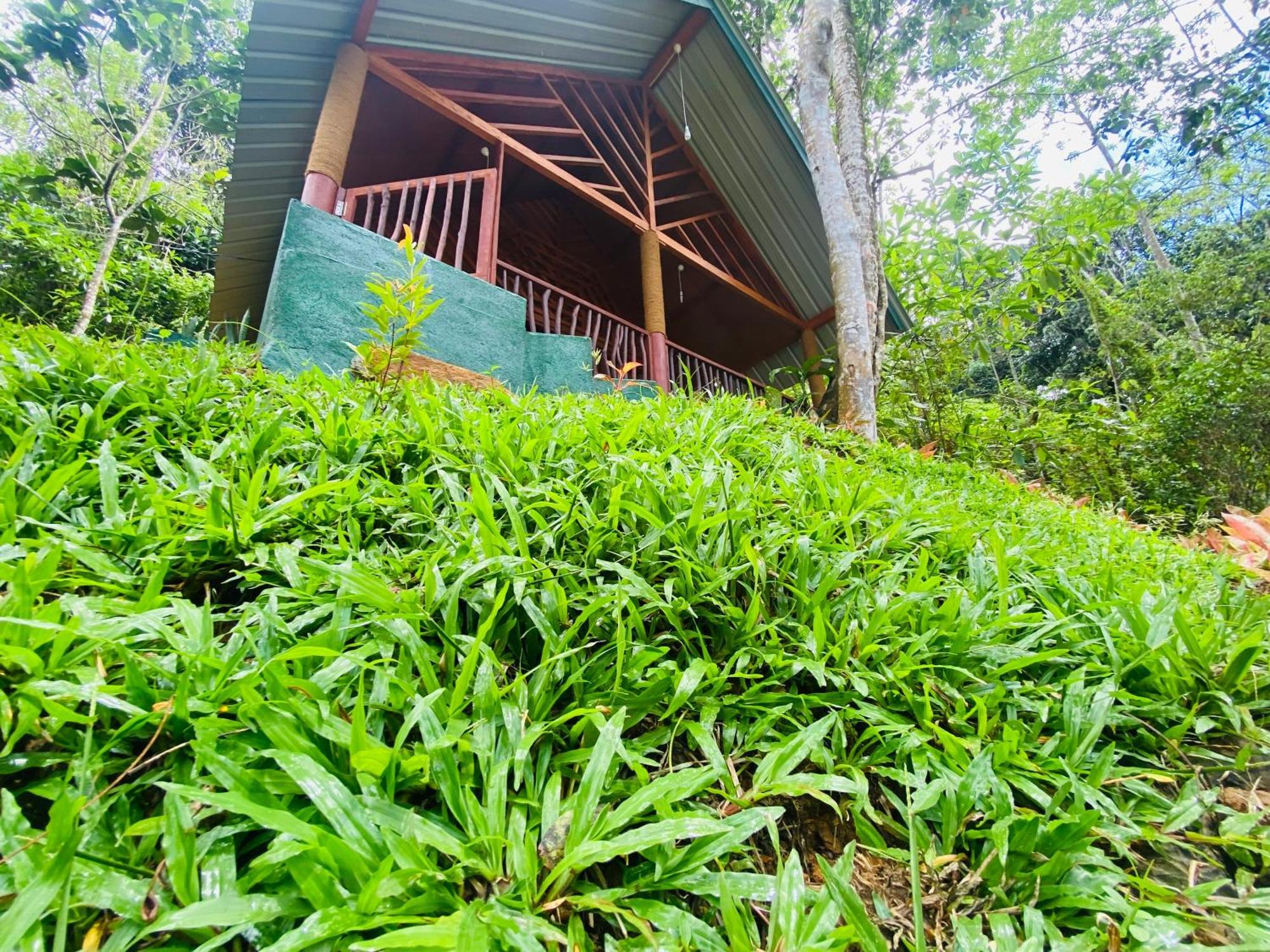 The Rainforest Hideaway Deniyaya Exterior foto