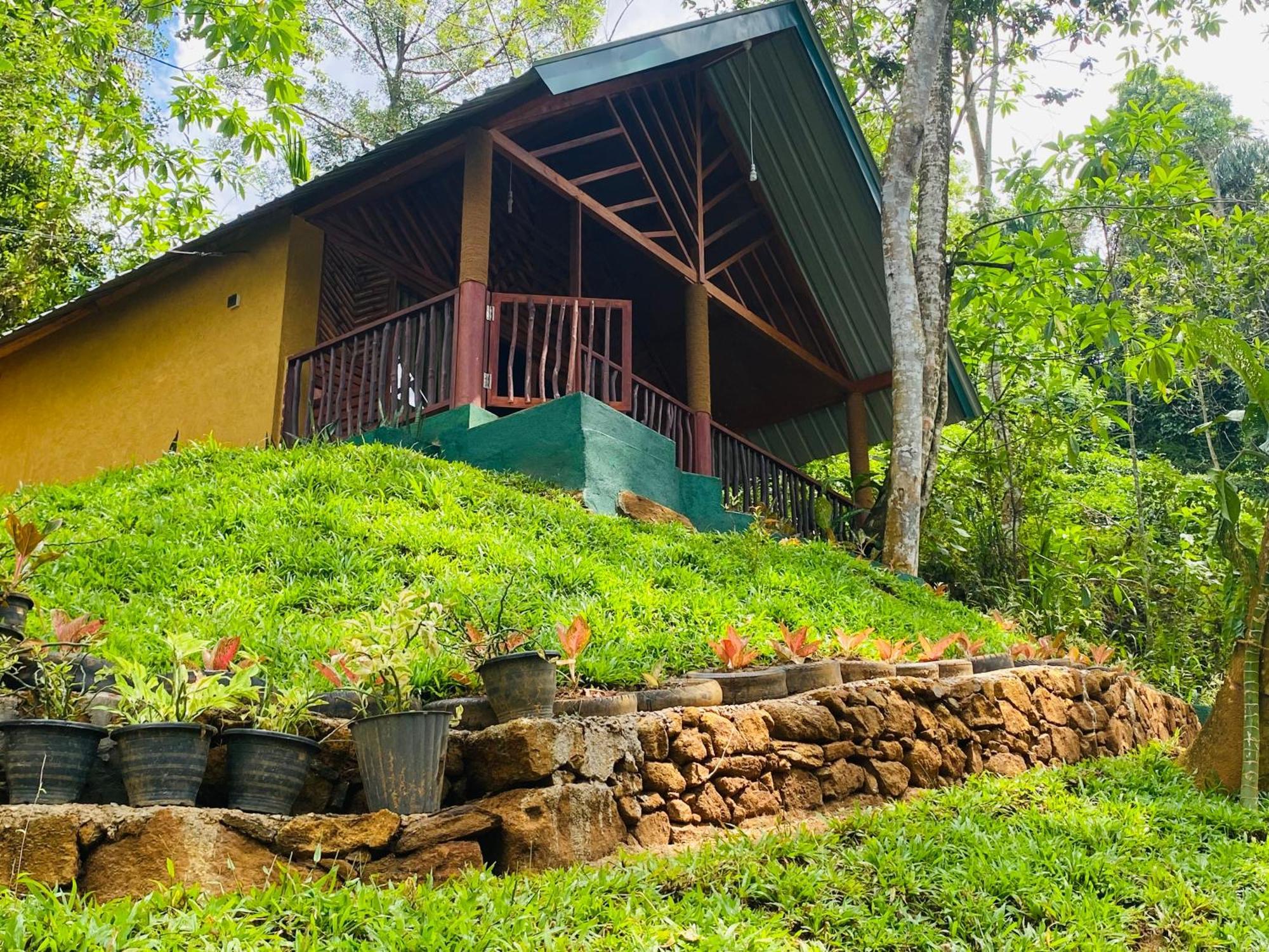 The Rainforest Hideaway Deniyaya Exterior foto