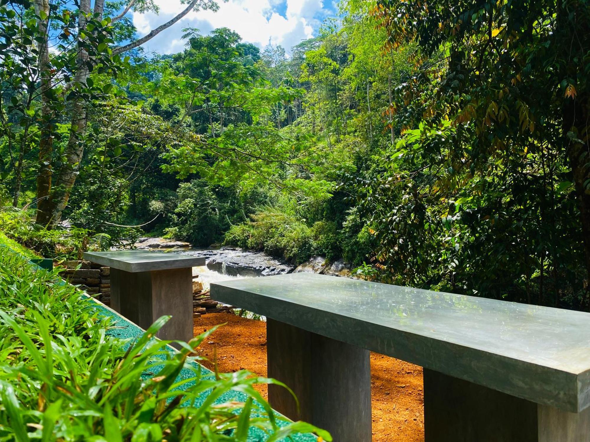 The Rainforest Hideaway Deniyaya Exterior foto